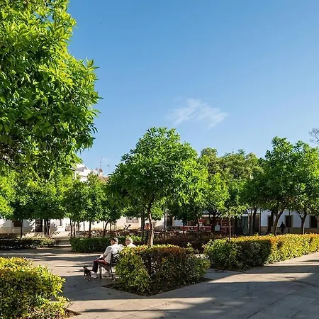 Premium - Arcos De Medina 202 Apartment