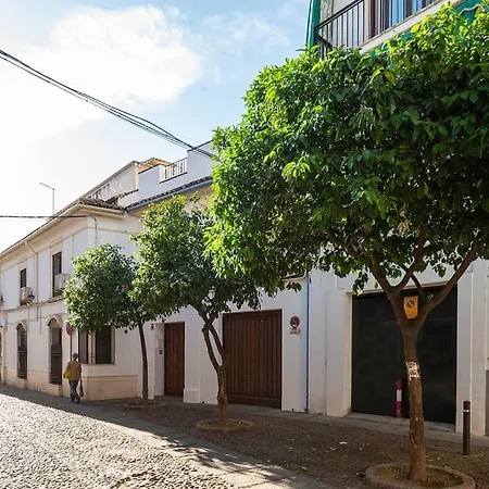 Premium - Arcos De Medina 202 Apartment