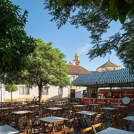 Premium - Arcos De Medina 202
