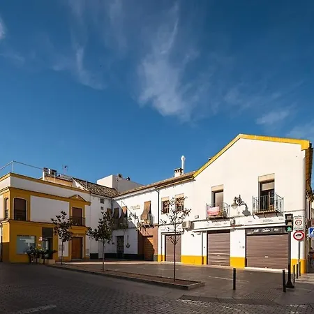 Premium - Arcos De Medina 202